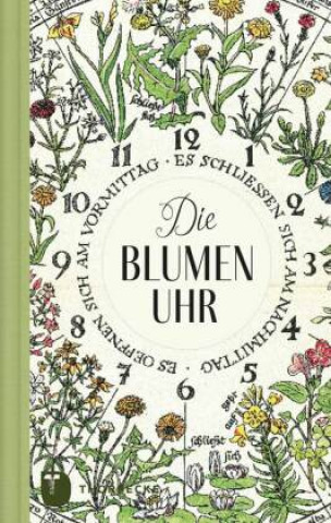 Knjiga Die Blumenuhr 