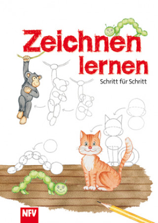 Carte Zeichnen lernen 