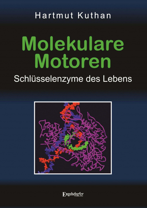 Könyv Molekulare Motoren 