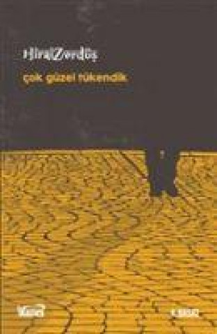 Boek Cok Güzel Tükendik 