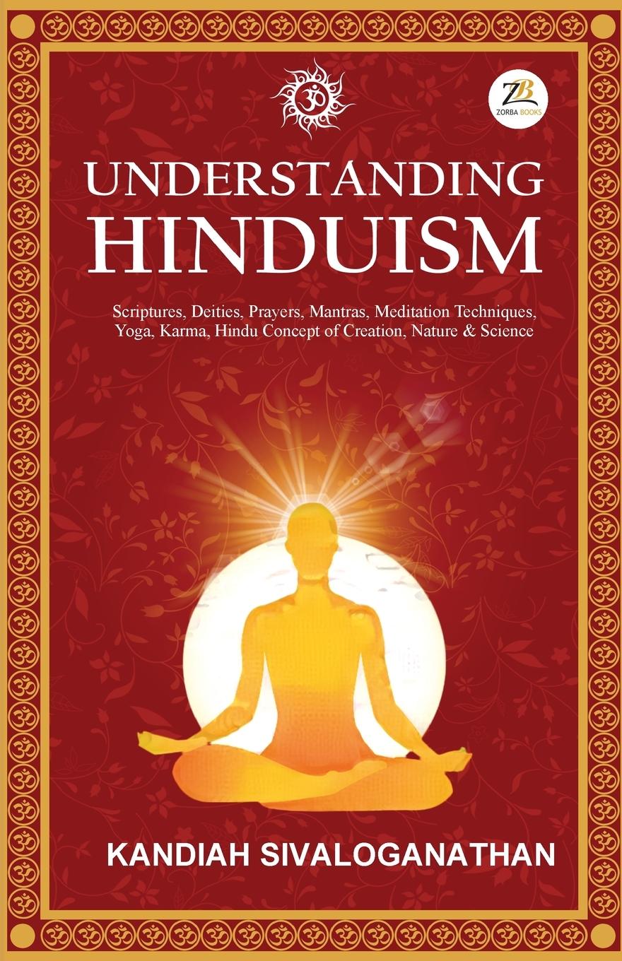 Kniha Understanding Hinduism 