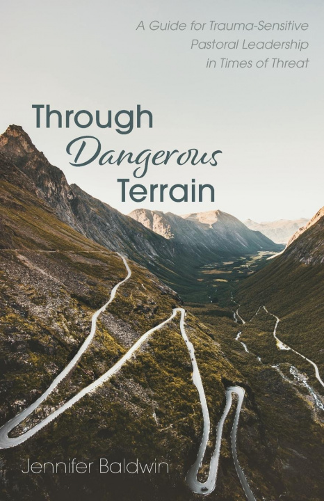 Kniha Through Dangerous Terrain Jennifer Baldwin