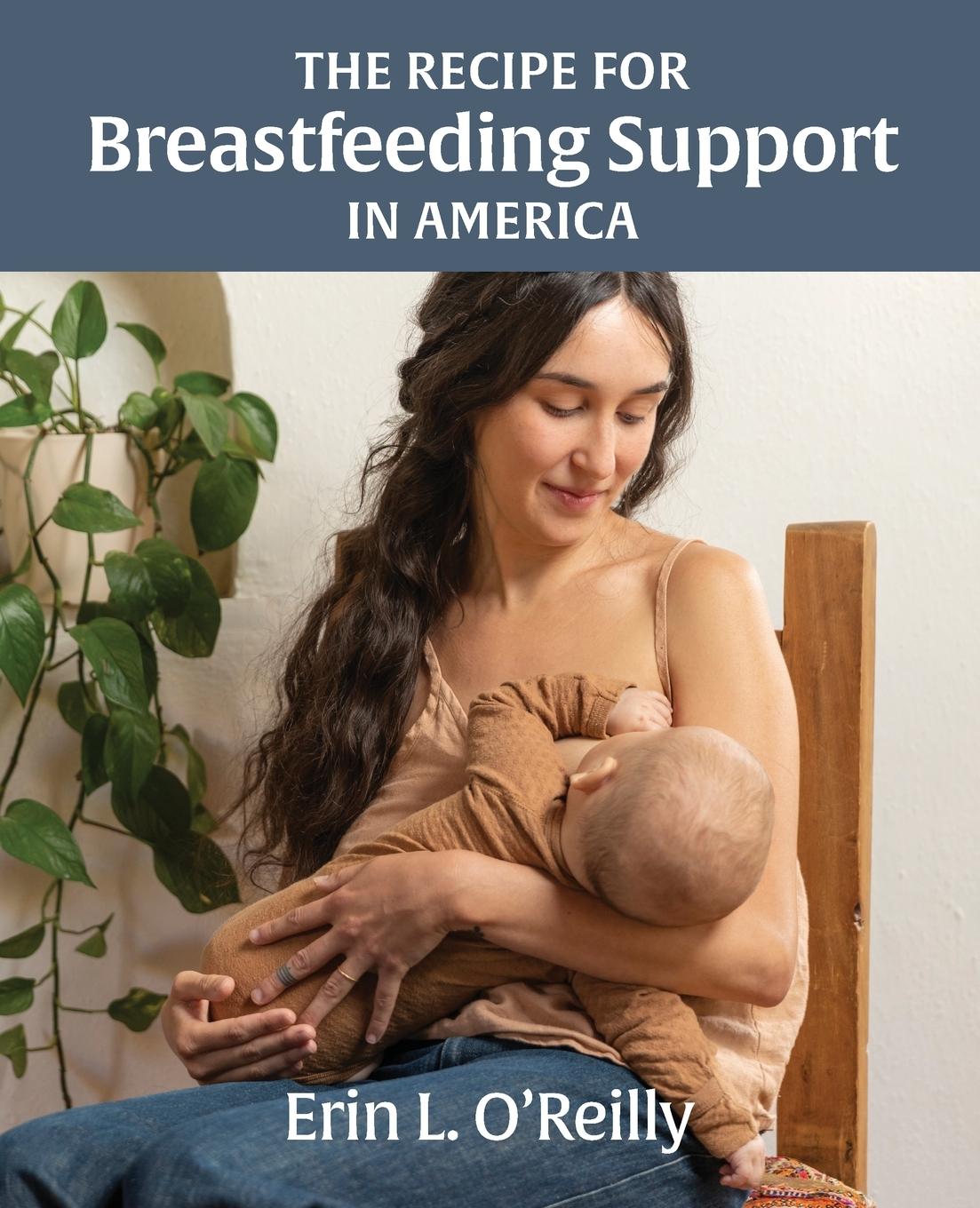 Knjiga Recipe for Breastfeeding Support in America Erin L. O'Reilly