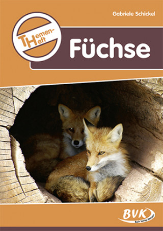 Kniha Themenheft Füchse Sonja Thoenes