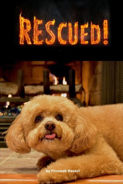 Buch Rescued! Firouzeh Razavi