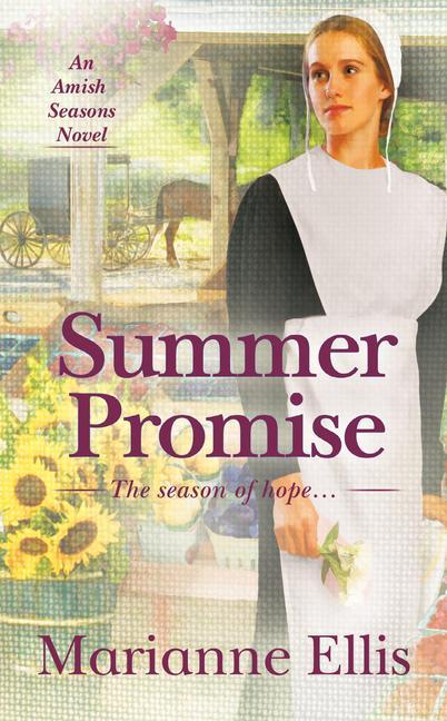 Knjiga Summer Promise Marianne Ellis
