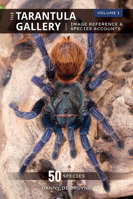 Carte The Tarantula Gallery: Image Reference & Species Accounts 