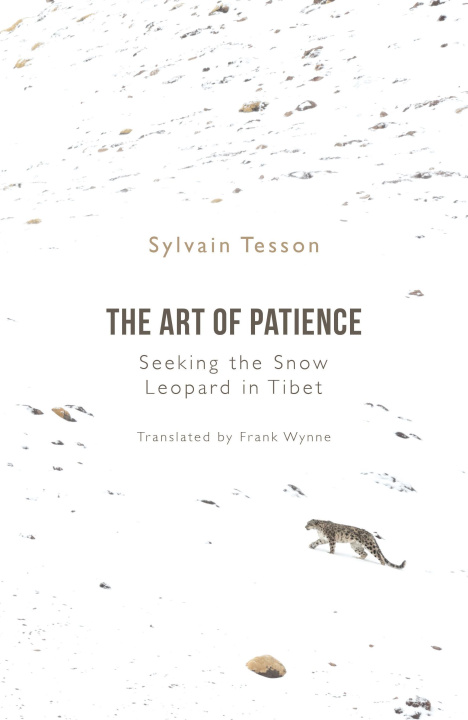 Книга Art of Patience SYLVAIN TESSON
