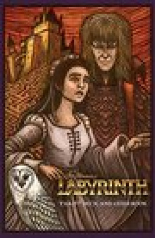 Kniha Labyrinth - Tarot Deck and Guidebook Minerva Siegel