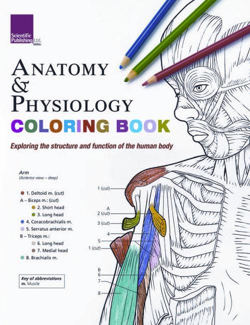 Книга Anatomy & Physiology Colouring Book Scientific Publishing