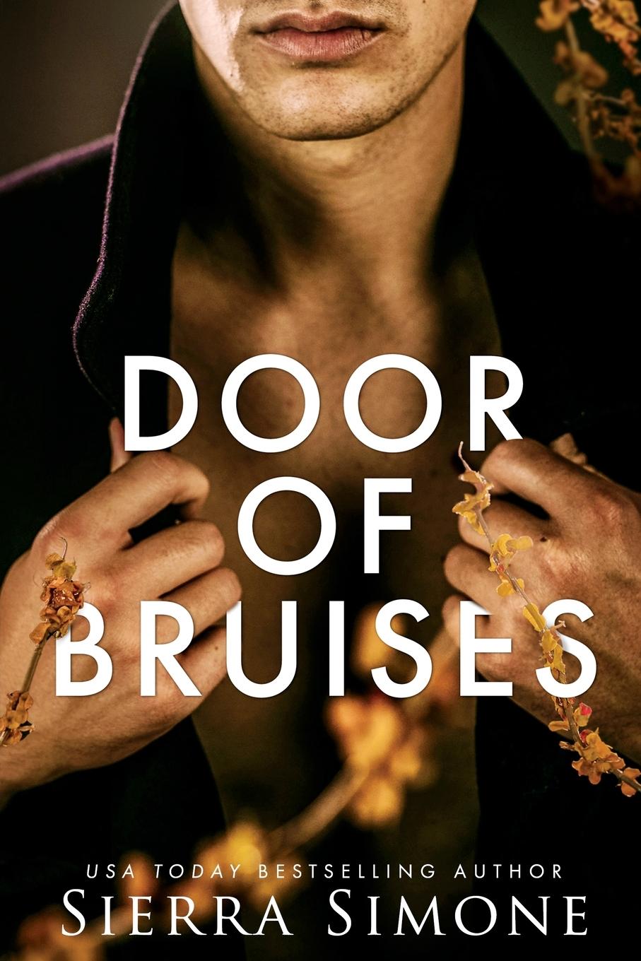 Könyv Door of Bruises Simone Sierra Simone