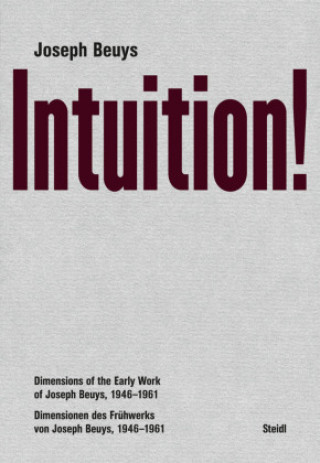 Книга Joseph Beuys: Intuition! Harald Kunde