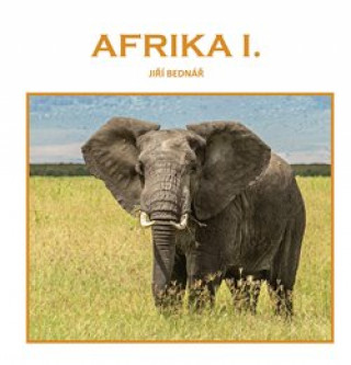 Könyv Afrika I. Jiří Bednář