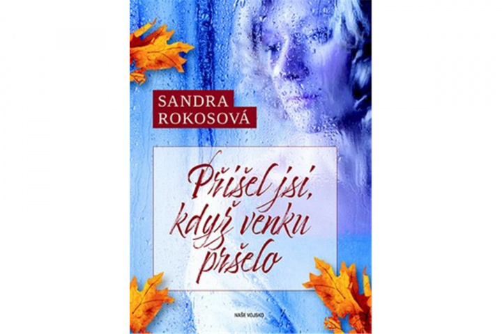 Book Přišel jsi, když venku pršelo Sandra Rokosová