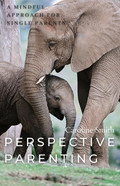 Knjiga Perspective Parenting Caroline Smith