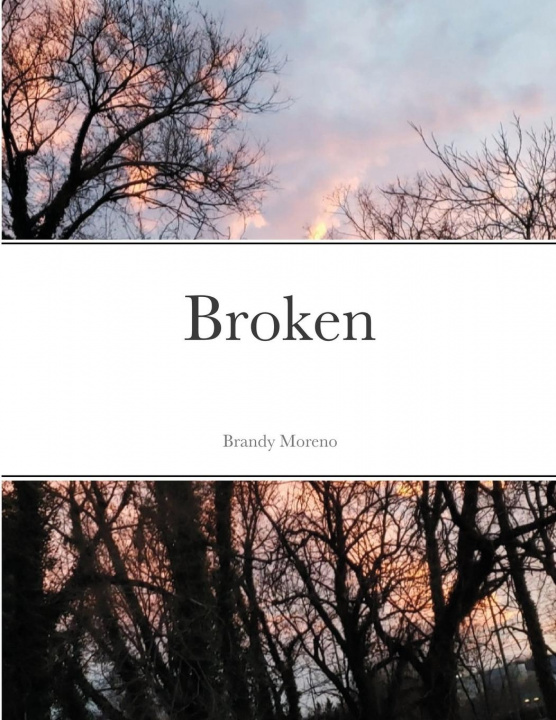 Knjiga Broken Brandy Moreno