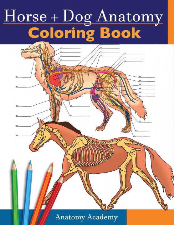 Книга Horse + Dog Anatomy Coloring Book 