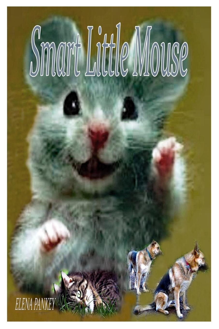 Book Smart Little Mouse Elena Pankey