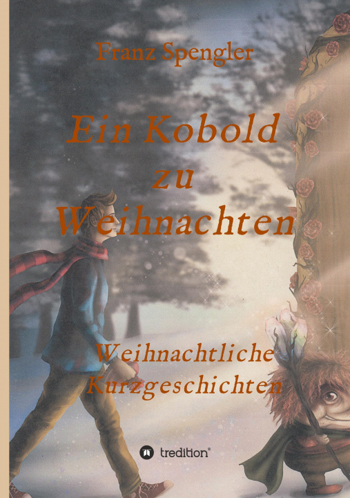 Knjiga Ein Kobold zu Weihnachten Franz Spengler