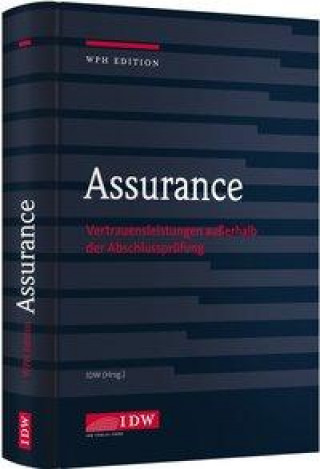 Knjiga Assurance Institut der Wirtschaftsprüfer