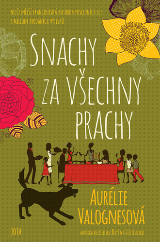 Kniha Snachy za všechny prachy Aurélie Valognes