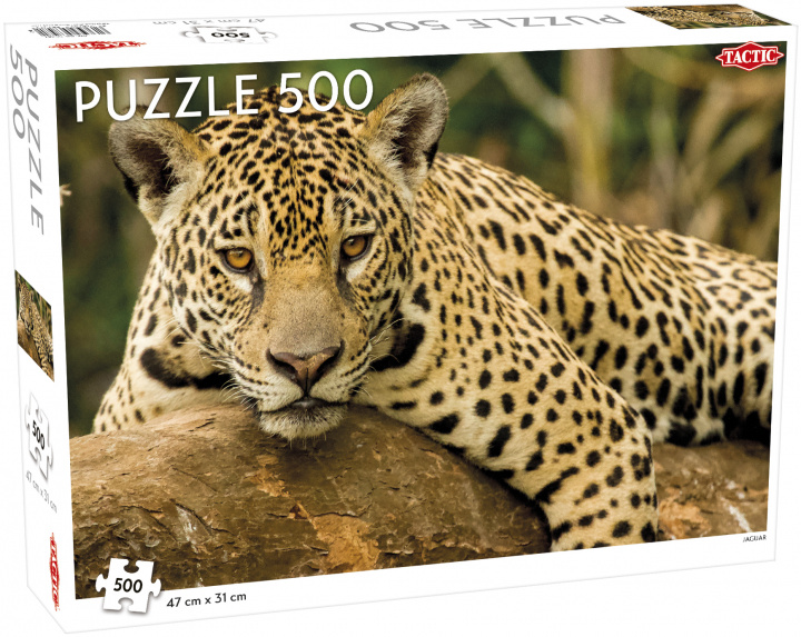 Carte Puzzle Jaguar 500 