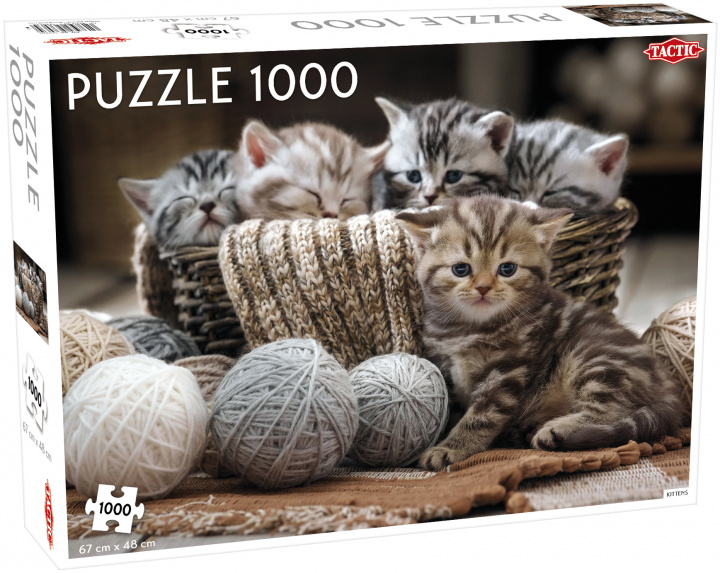 Książka Puzzle Małe kotki 1000 