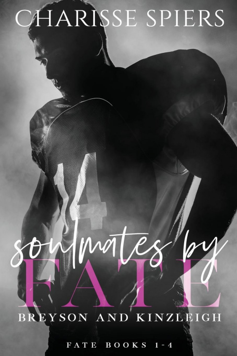 Könyv Soulmates by Fate (Fate, #1-4) Nikkita McDuffie