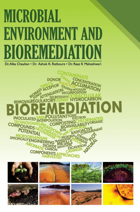 Kniha Microbial Environment and Bioremediation Alka Chauhan