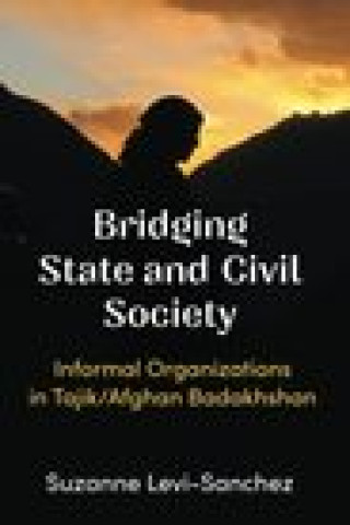 Könyv Bridging State and Civil Society Suzanne Levi-Sanchez