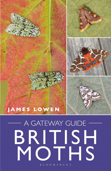Carte British Moths James Lowen