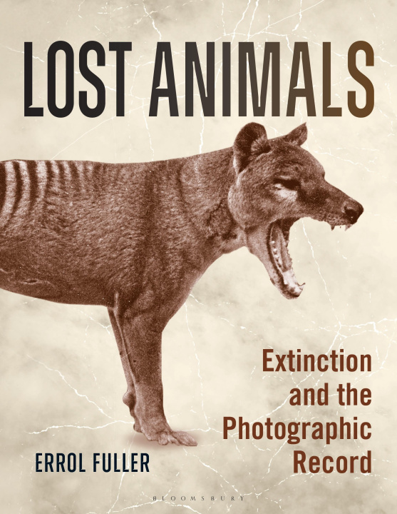 Kniha Lost Animals Errol Fuller