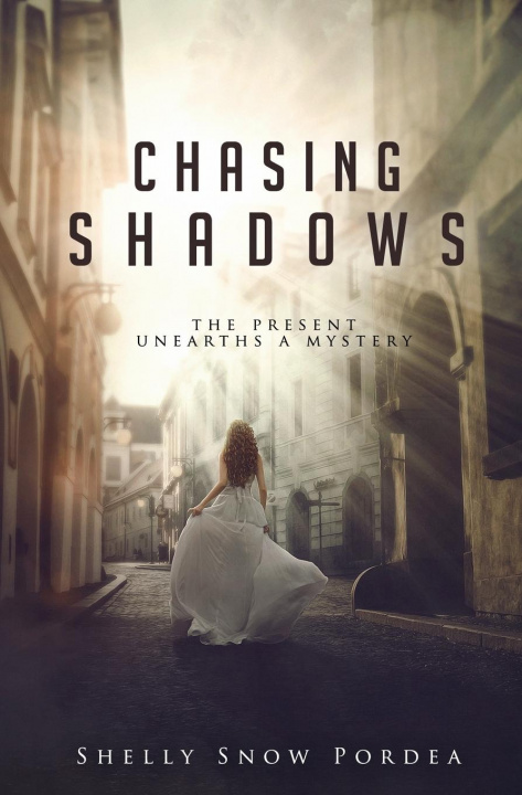 Knjiga Chasing Shadows Denise Kruse