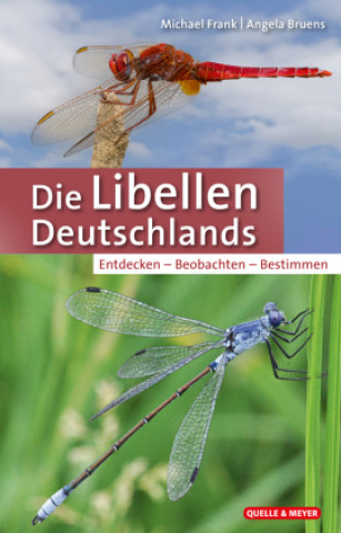 Könyv Die Libellen Deutschlands Angela Bruens