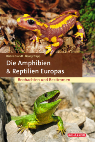 Kniha Die Amphibien und Reptilien Europas Benny Trapp