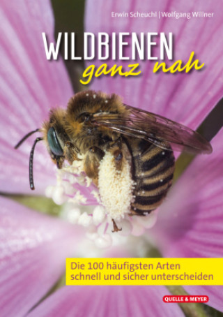 Kniha Wildbienen ganz nah Wolfgang Willner