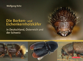 Książka Die Borken- und Eichenkernholzkäfer Wolfgang Rohe