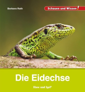 Knjiga Die Eidechse Barbara Rath