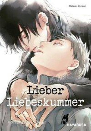 Libro Lieber Liebeskummer Diana Hesse