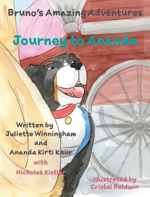 Knjiga Journey to Ananda Winningham Juliette Winningham