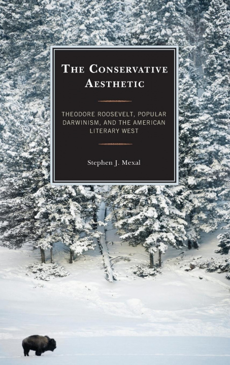 Knjiga Conservative Aesthetic Stephen J. Mexal