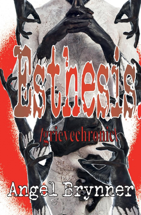 Book Esthesis eng