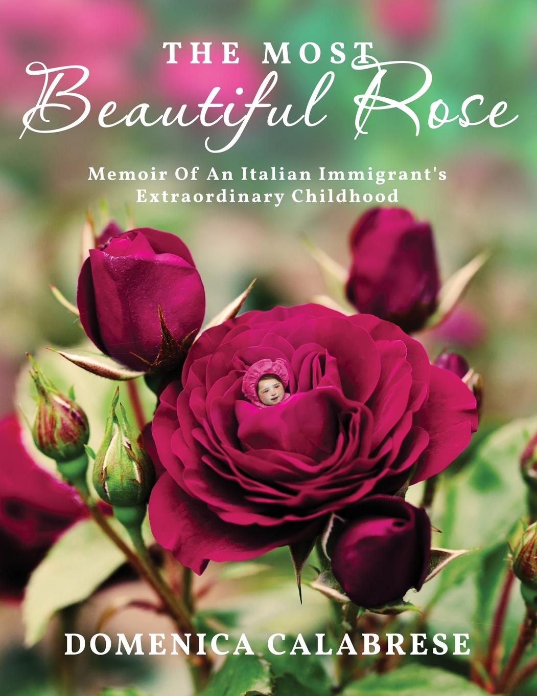 Kniha Most Beautiful Rose 