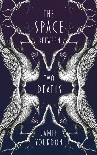 Book Space Between Two Deaths JAMIE YOURDON
