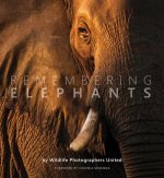Könyv Remembering Elephants 