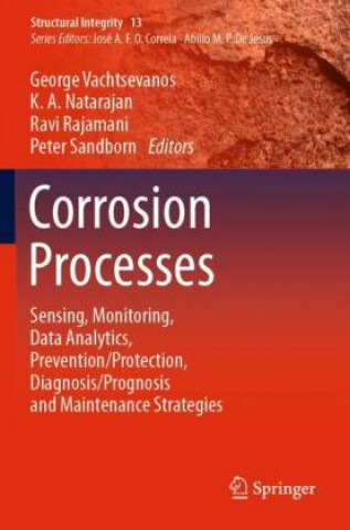 Kniha Corrosion Processes Peter Sandborn