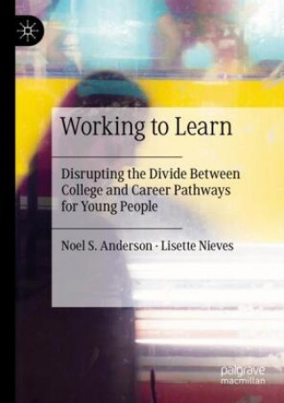Knjiga Working to Learn Noel S. Anderson