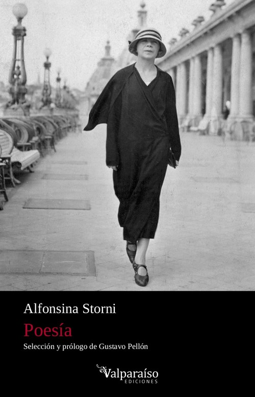 Boek Poesía ALFONSINA STORNI