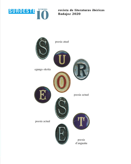 Boek SUROESTE 10 VARIOS SUROESTE