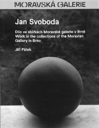 Könyv Jan Svoboda Jiří Pátek